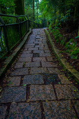 Obraz premium A stoned entrance of Hakone shrine, in the forest in Japan
