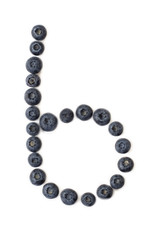 Blueberry berries on a white background