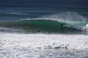 Surfing in La Jolla California