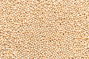 Macro soybean for food texture and background