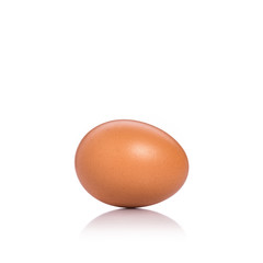 Fresh chicken egg shot in studio. Isolated on white