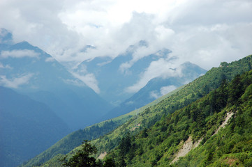 landscape of mountain forest and valley