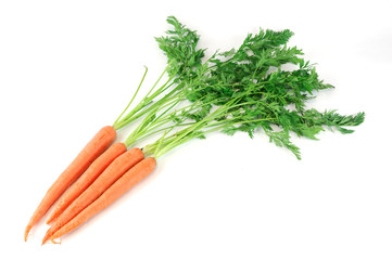 fresh carrot with leaves isolated on white background