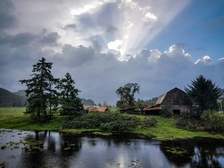 Fototapeta na wymiar Barn in Sunlight behind pond with trees and pasture in rural America.