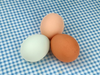 Multicolored Chicken Eggs on a Blue Checkered Tablecloth