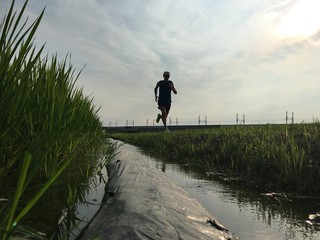 Man running in rice fields