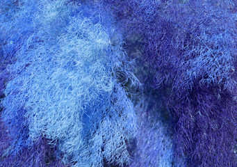 Blue abstract background