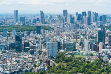 Fototapeta premium 東京風景