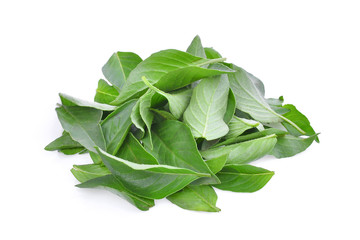 pile of thai sweet basil leaves isolated on white background
