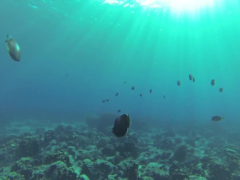 Scuba diving