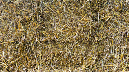close up of a square hay bale