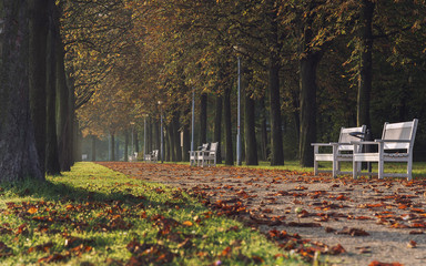 Fototapeta na wymiar Dresden Großer Garten Herbst