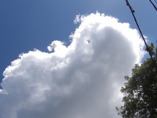 KODAK Digital Still Camera