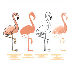 Obraz premium Vector illustration of Flamingo silhouettes set.