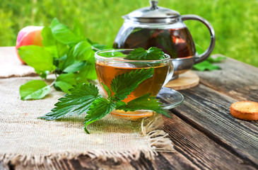 Healing tea with nettle