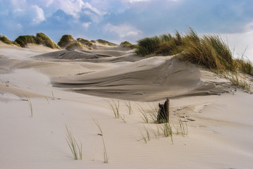 the dunes of the island amrum
