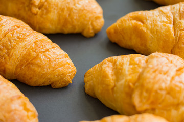 Croissants are in tray after leaving the oven for Served customers in breakfast.