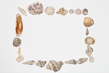 eckiger Muschelrahmen auf weißem Hintergrund