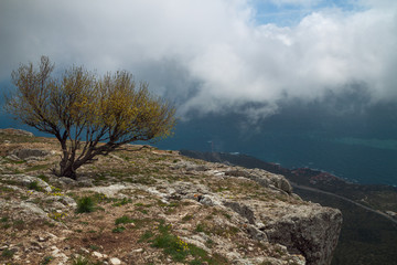 view of the sea from the mountain top