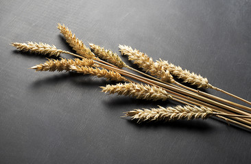 Wheat flower on black background. Horizontal studio shot.