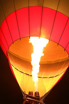 Euopean Festival Ballom