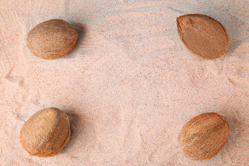 Fototapeta na wymiar Coconuts on the beach sand