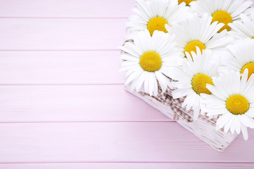 Chamomile flowers on pink wooden table
