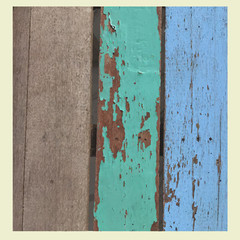 Wooden  grunge texture in blue, green and brown.