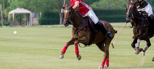 Obraz premium Polo Horse ball float in the air during intense competition.