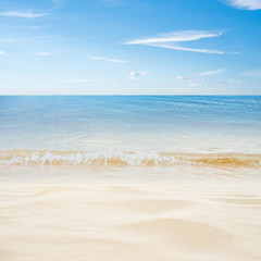 Tropical island summer beach