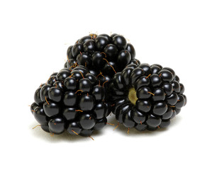  Ripe blackberries isolated on white background