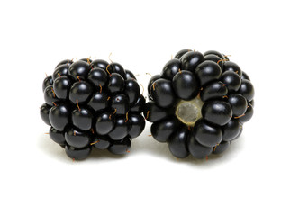 Blackberry isolated on white