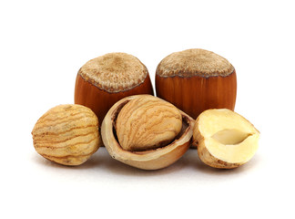 Hazelnut isolated on white
