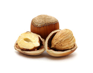 Closeup of hazelnuts