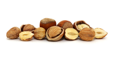 Hazelnut isolated on white