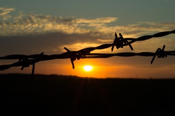 Fototapeta na wymiar Barbed wire sunset