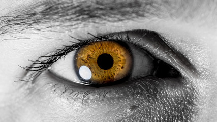 Oeil de braises