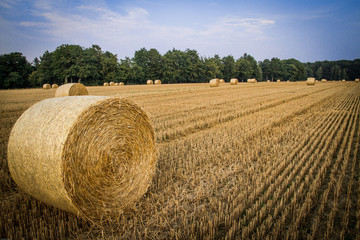 Strohballen