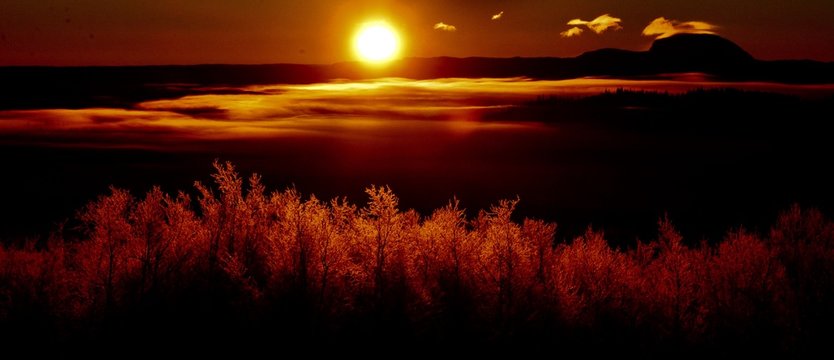 Soloppgang-Sunrice