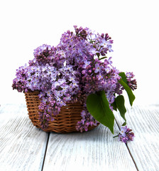 Lilac flowers