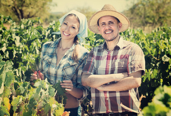 man and woman gardeners in grapes tree yard .