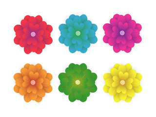 Naklejka premium Set of colorful flower isolated on white background