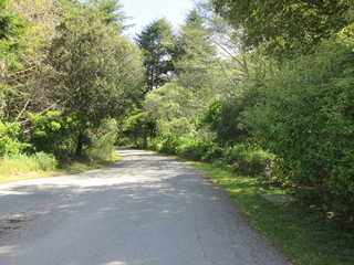 Obraz premium path in nature