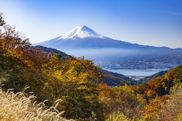 Fototapeta premium 富士山と紅葉、山梨県御坂峠にて