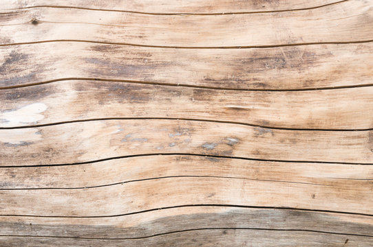 stripped tree bark with parallel cracks texture