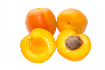 Apricot on white background