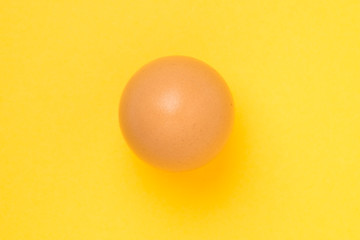 Single brown chicken egg on yellow background