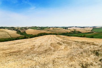 Natural landscape, fields in a summer day