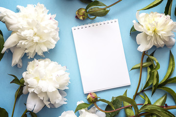 Blank open notebook with fresh white peonies on a blue background. Place for the text.