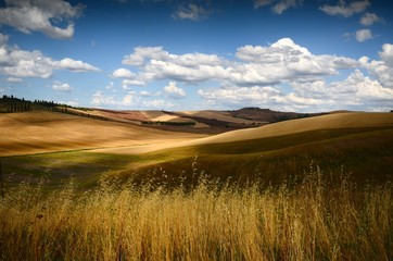 Beautiful Landscape near Asciano Siena. wheat field and blue cloudy sky. Tuscany, Italy.